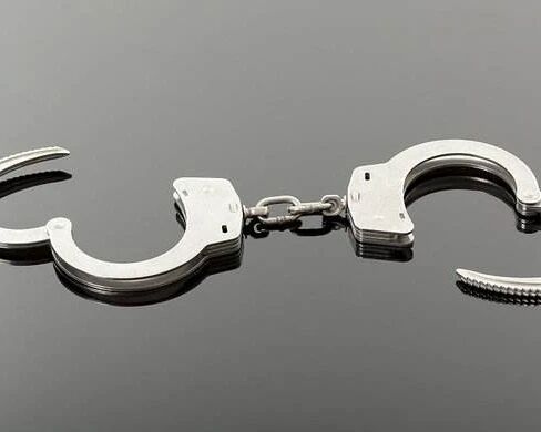 外逃职务犯罪嫌疑人郑振忠入境投案