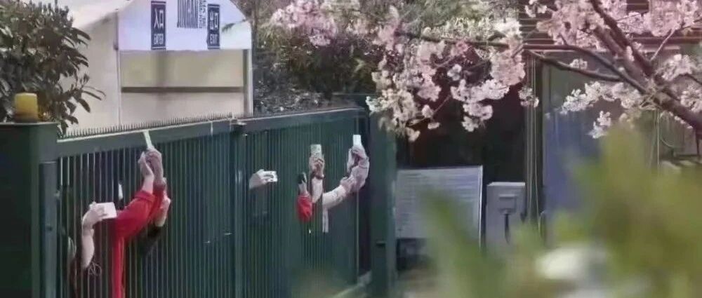 这是此刻真实的上海！