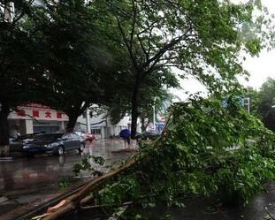 台风“米克拉”登陆后强度减弱 对我国影响基本结束