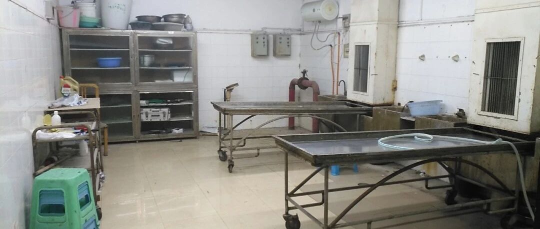 想起解剖战友遗体的那一刻，女法医扭头大哭