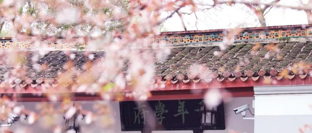 湖南大学，生日快乐！