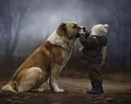 虐待动物事件频发仅被视为丧失公德，需要专门立法吗