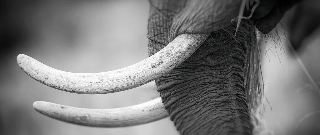 这张海报背后，是一个让人流泪的真相......