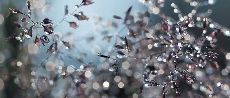 今日白露！露从今夜白，月是故乡明……