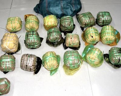 云南德宏边境管理支队查获特大毒品案 缴毒74.6千克