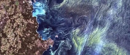 这些修复蓝色星球的方式，太治愈了