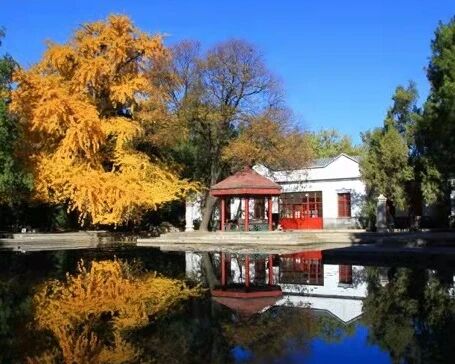 北京市属公园游览场所今起全面开放，入园仍需预约