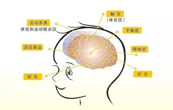 感统失调关系孩子一生 ! 宝宝有这几个表现，父母要注意！