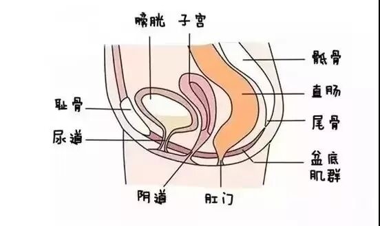 产后便秘这样做，胜过开塞露和肥皂条！