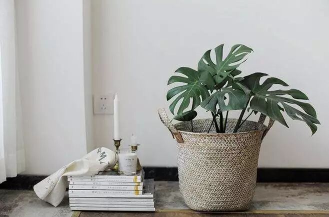 从现在开始，这几个好习惯请逼自己养成