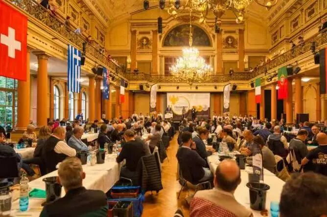 惊艳国际舞台！宁夏华昊酒庄摘得法兰克福国际大奖赛两枚大金奖