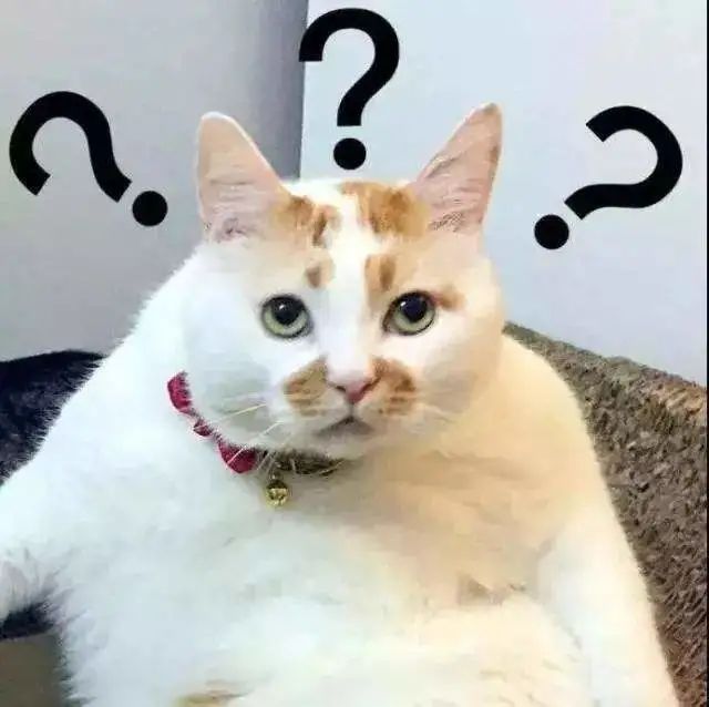 女博士是草根男的理想择偶对象?那我劝你娶妻别娶女博士了!