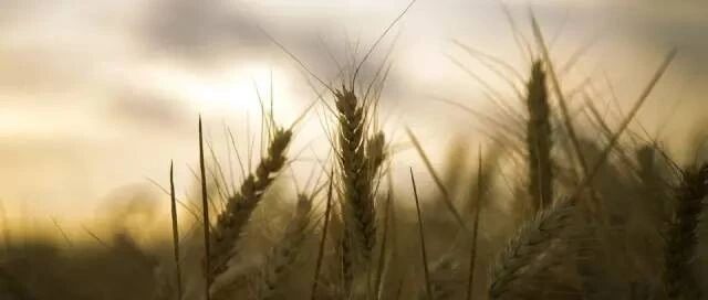 如何一眼看出一个人是否厚道！