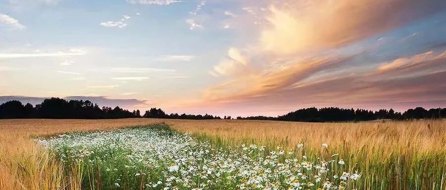 解决问题最高明的方法：打开自己