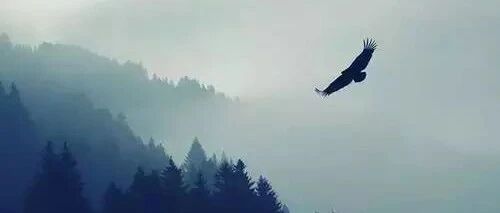 诸葛亮留给后人的五句话，受益匪浅！