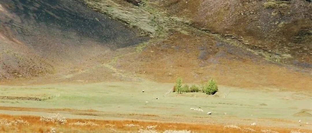 成年人最好的处世方式