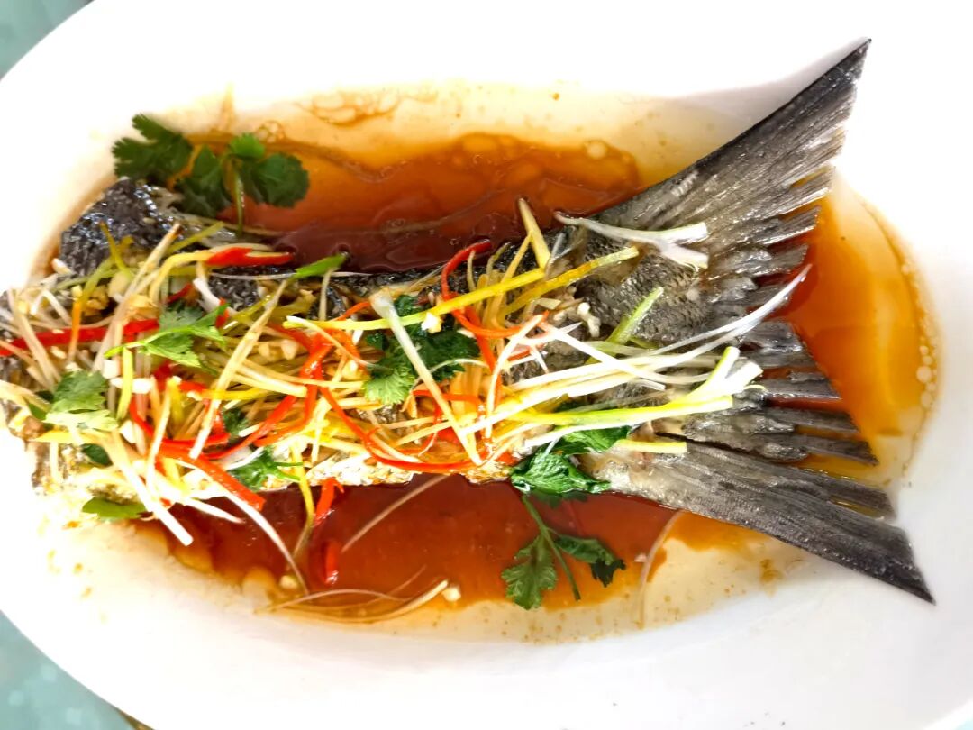 绝在烟台蓬莱一桌丰盛菜肴全用一条10斤的鱼制成这是种什么体验