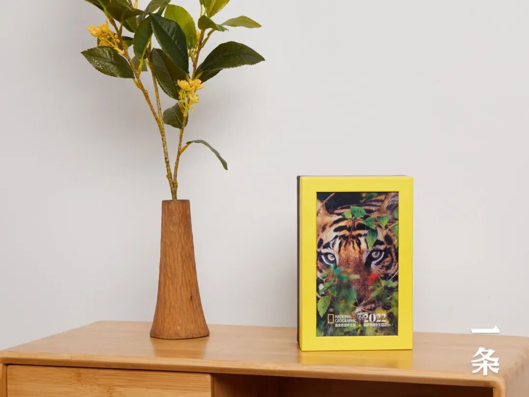 2022�����ҵ���������������365��ÿ��һ�ž��ʴ�Ƭ