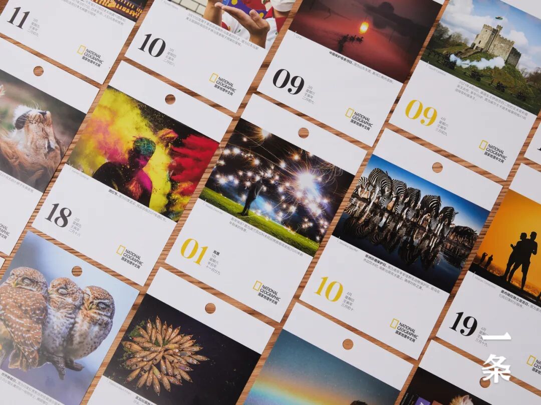 2022�����ҵ���������������365��ÿ��һ�ž��ʴ�Ƭ