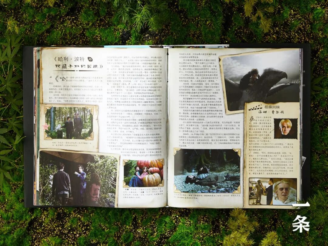 我的天 这是我离 哈利 波特 魔法世界最近的一次 简书 微信公众号文章阅读 Wemp