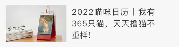 �������屦������ţ�̣�ר��0���Ǽ��������㴼�񣬺úúȣ�