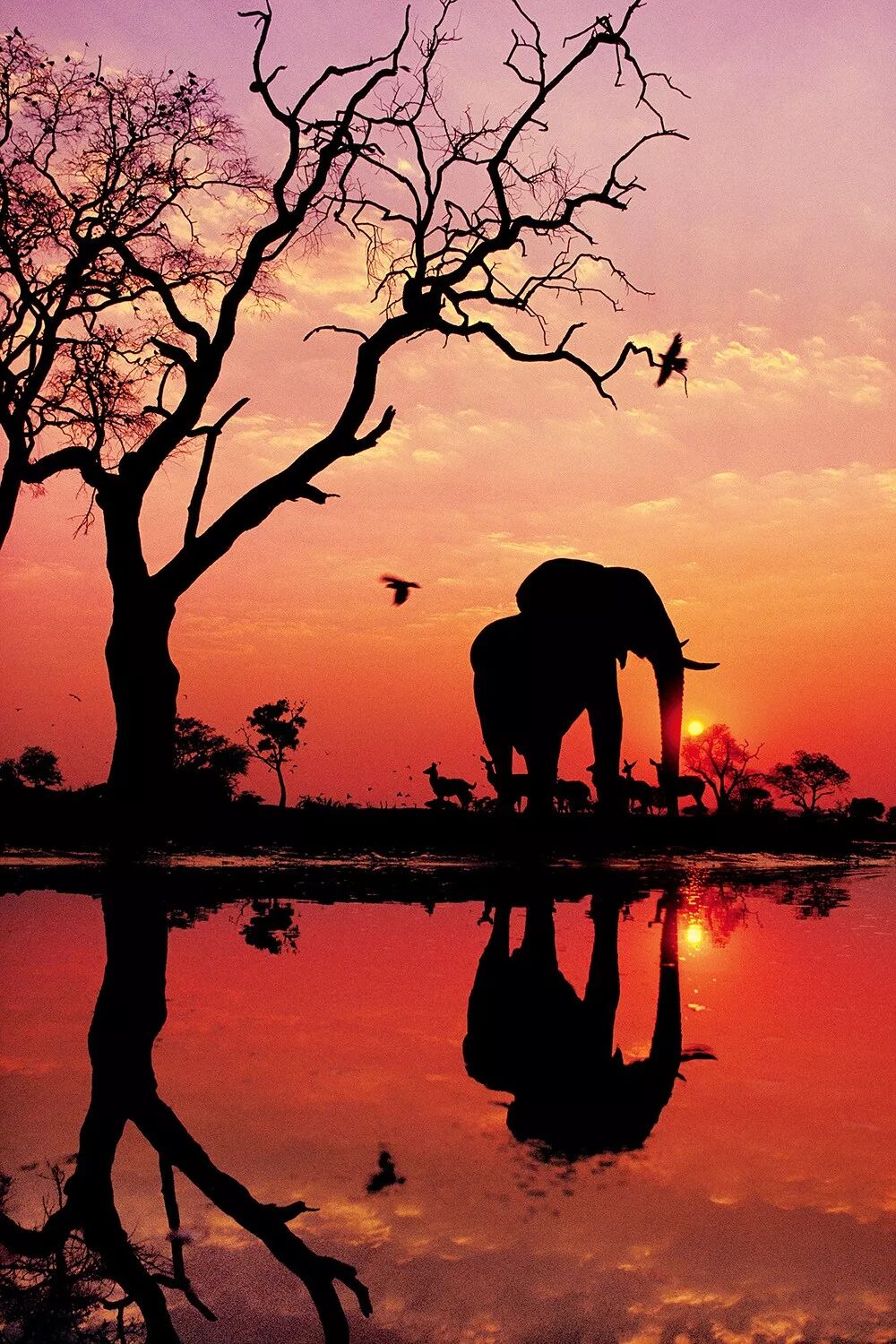 2022�����ҵ���������������365��ÿ��һ�ž��ʴ�Ƭ