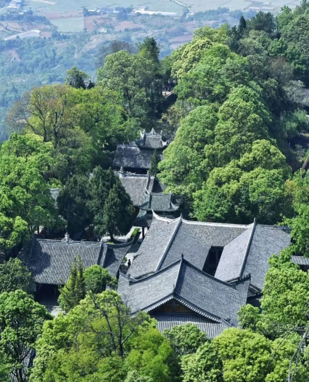 古羌传奇物品代码,古羌传奇70以后去哪里升级