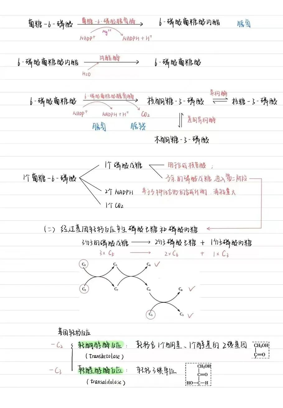 心得经验怎么写_经验心得6_心得经验分享