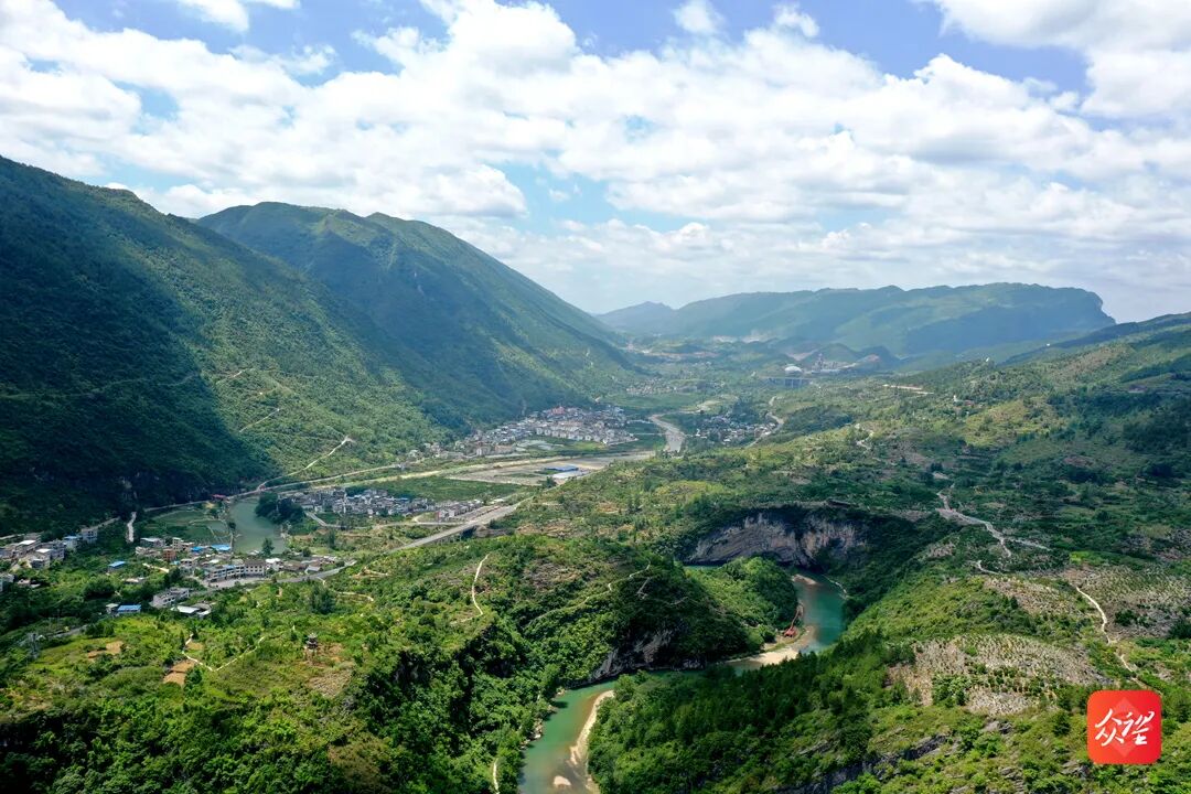 印江县林业局党组书记,局长杨胜冰说:"以改善生态环境,培育扶贫产业