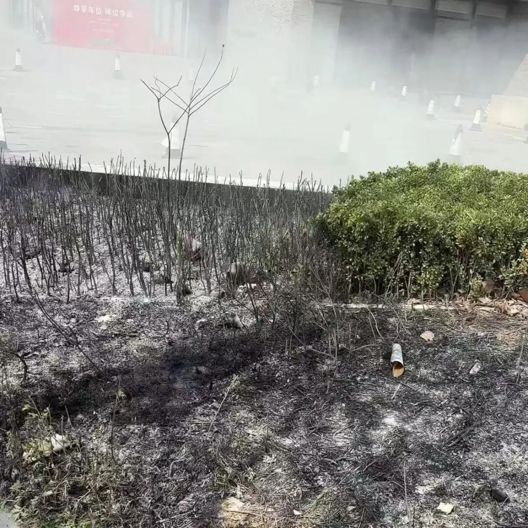 4c98d3755453f017edc7f6f1e1ba9d6