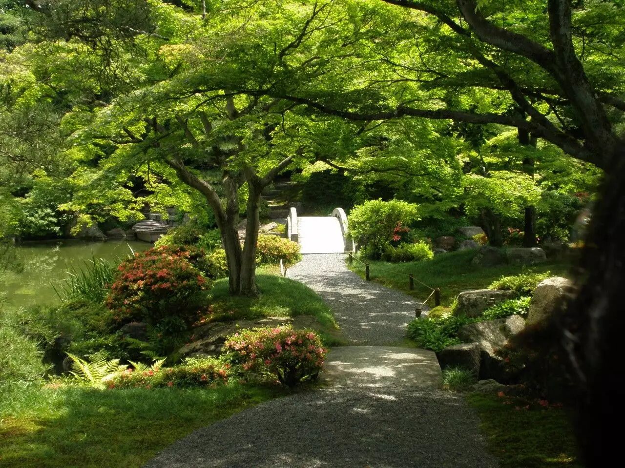 在京都生活了五年 他变成了一本行走的攻略 人物访谈 自由微信 Freewechat