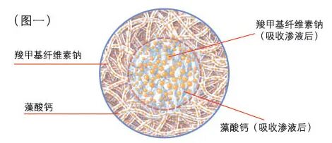 性敷料是什么压力性损伤的临床分期及措施_https://www.jmylbn.com_新闻资讯_第15张