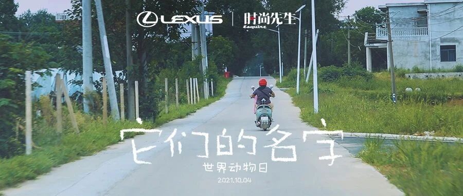 世界动物日特辑2 | “我也想有个名字”