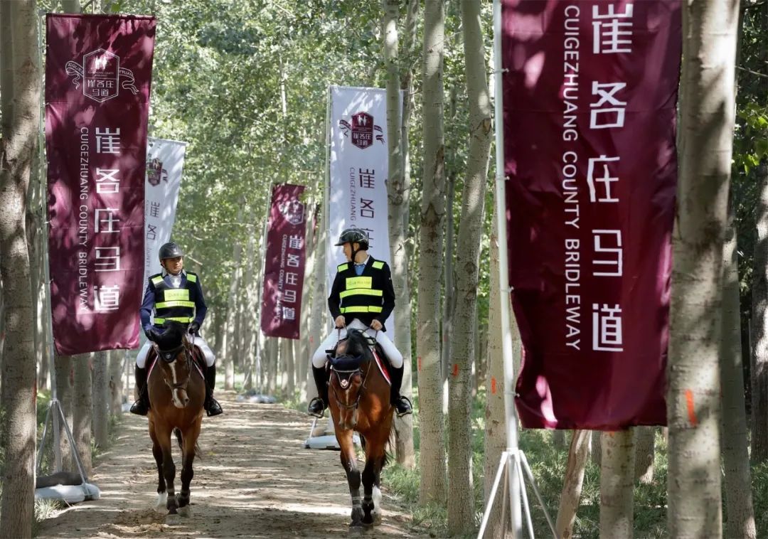 與我們一起攜手破圈層推進馬術時尚生活方式！ 家居 第15張