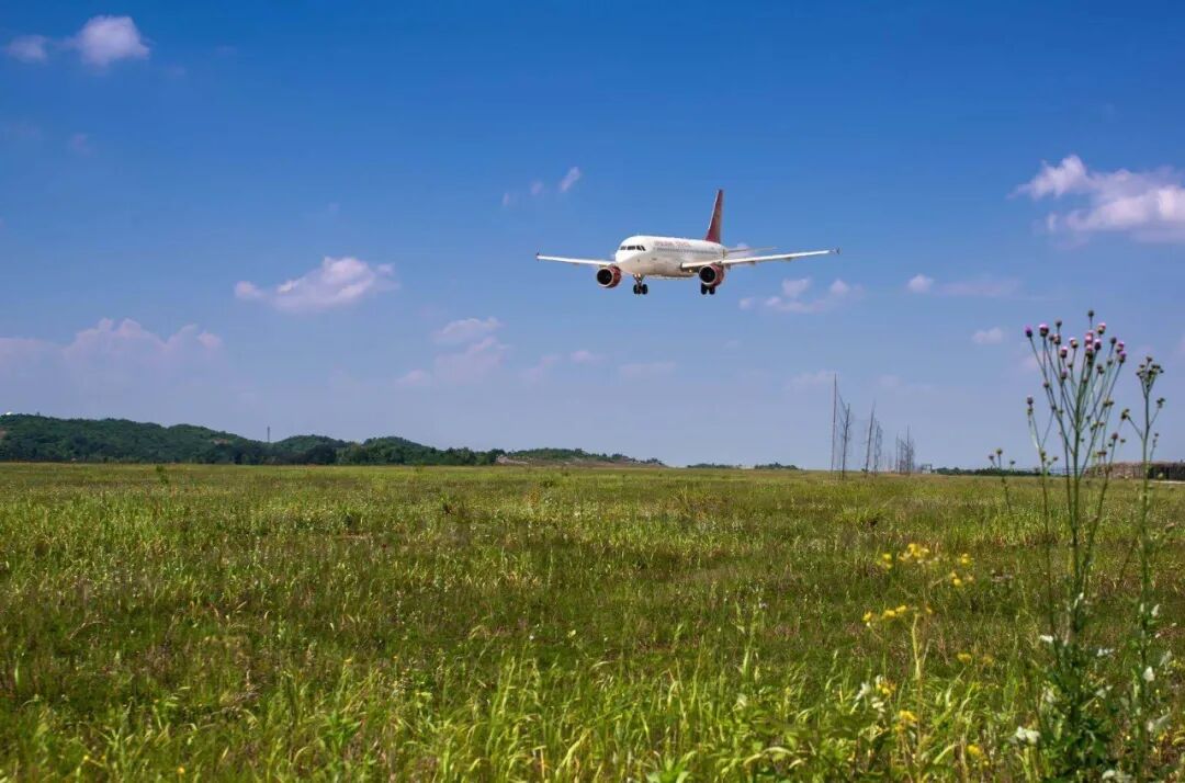 上海到重庆飞机票价是多少_上海到重庆飞机全价票_上海到重庆飞机票价
