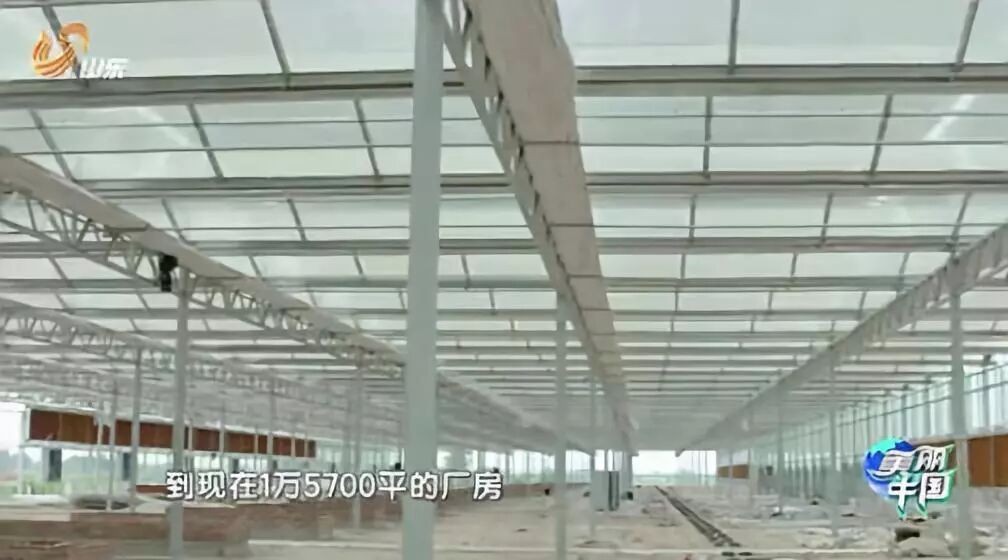 女留学生靠“恶心”震撼全球！澳洲留学后回中国，竟建了个“可怕”工厂，看完头皮发麻… - 16