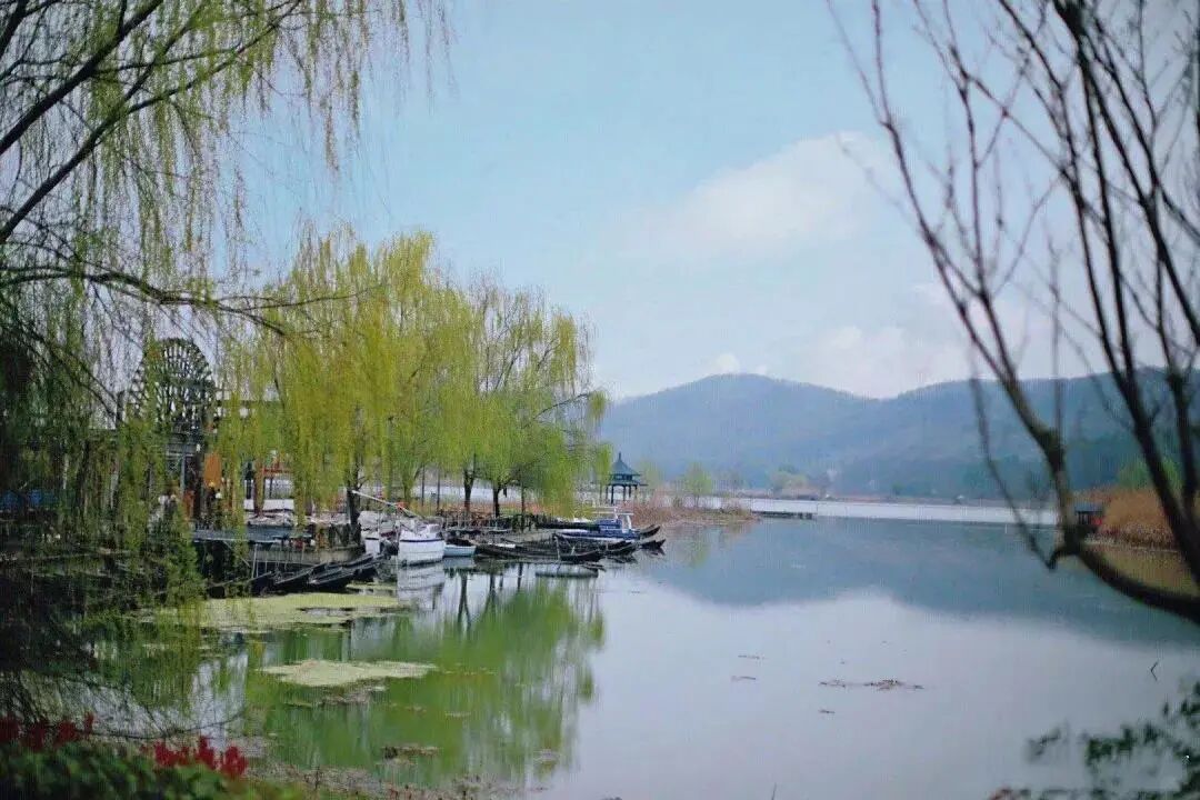 光威鱼竿 跟我去钓鱼 武汉的垂钓好去处 一次全掌握 光威鱼竿官方旗舰店
