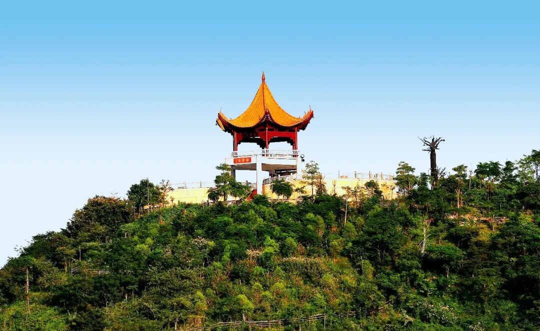 大旺街坊假期又多一个好去处将军山景区恢复对外开放啦