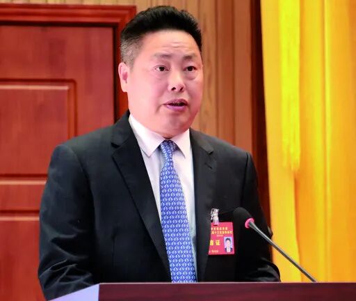 陈家添指出走稳走实制造业高质量发展路子肇庆高新区