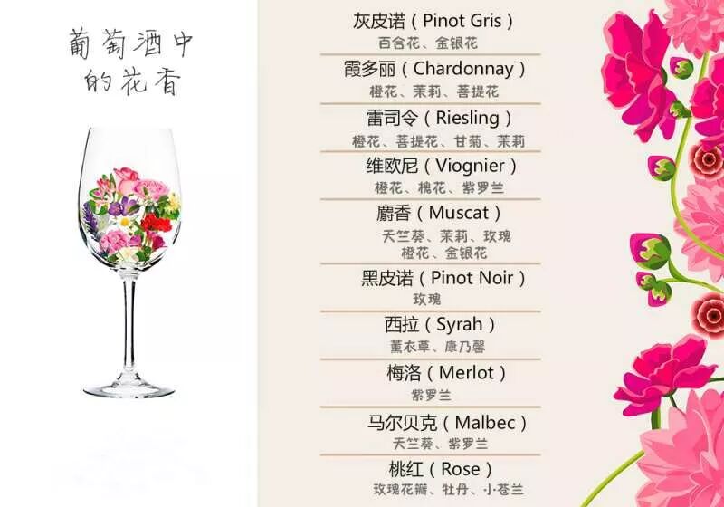 酒类小知识—葡萄酒香味，该如何分类？