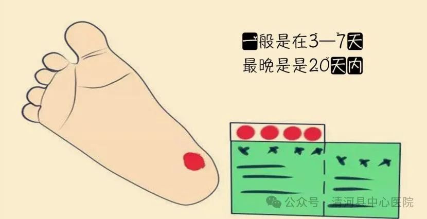 父母一定要知道：新生儿为什么一定要采足跟血!