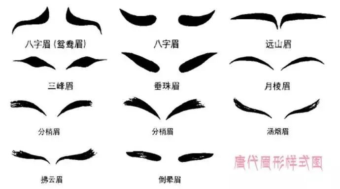 百万年前的社交必需品——眉毛进化史