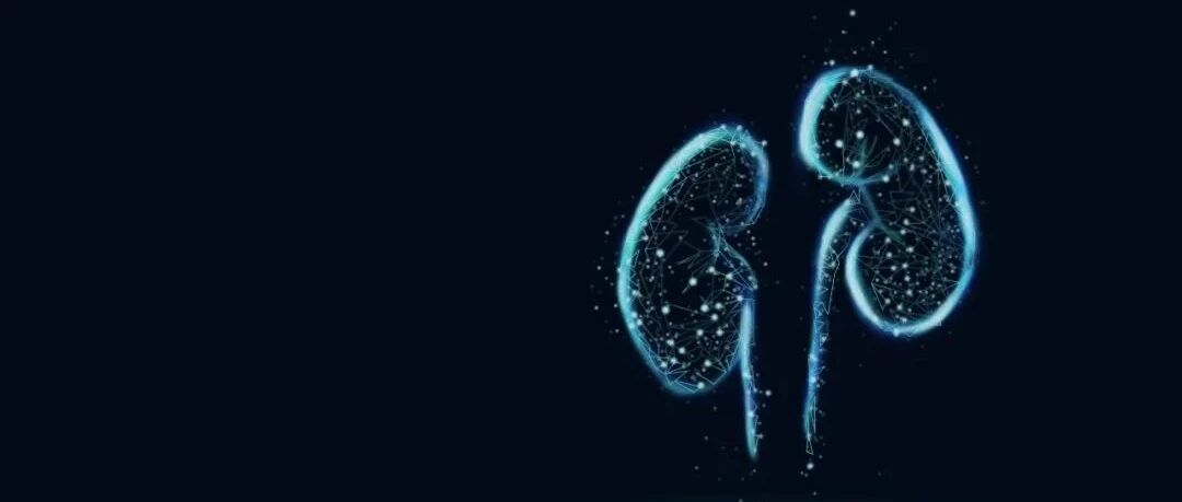 检测早期肾损伤，这个检验指标为什么备受推崇？（1）