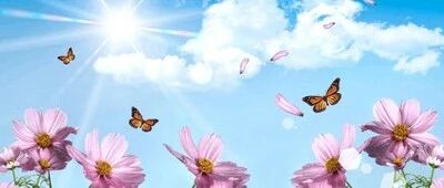 排名前十的长寿生活习惯，你做到几个？