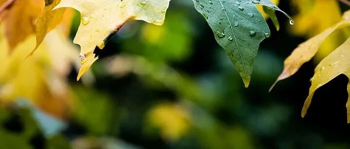 一到秋天血糖就难控？糖尿病友需要注意这6件事