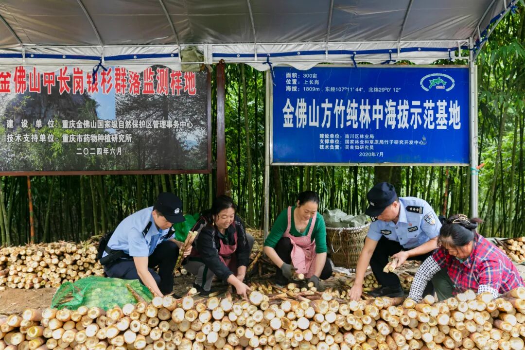 2024年9月“渝警之星”評選活動揭曉，這些單位和個人上榜→