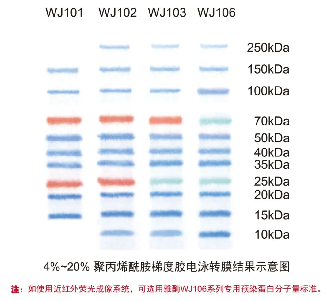 【雅酶】助力新学期 开学福利它来了!