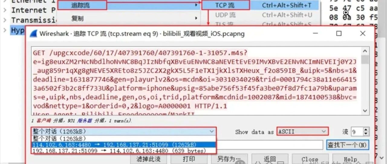 Example Image