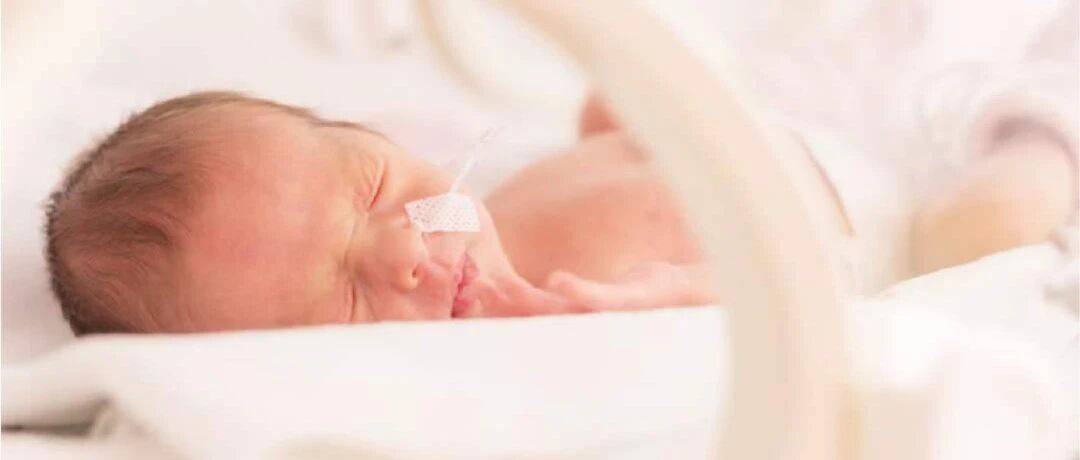 世界早产儿日｜每一个早到的天使都应该被温柔呵护