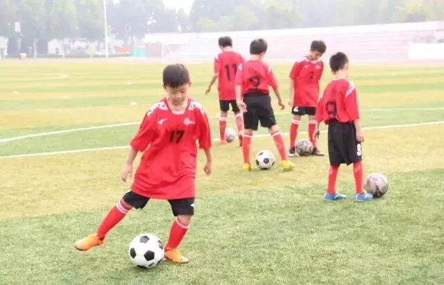 上海师范大学财务处_发展规划处上海财经大学_上海师范 大学 心理学